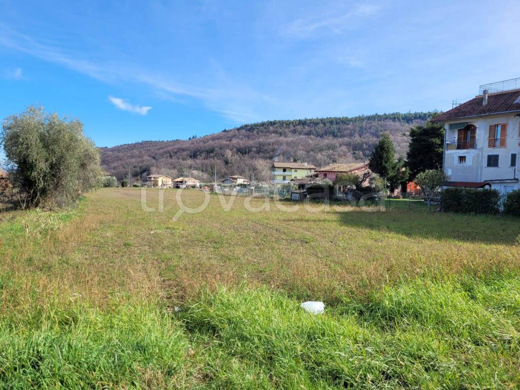 immagine annuncio 2 di 14