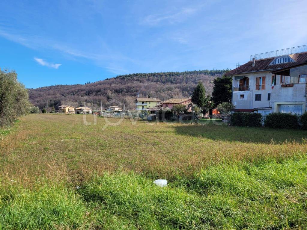 immagine annuncio 5 di 14