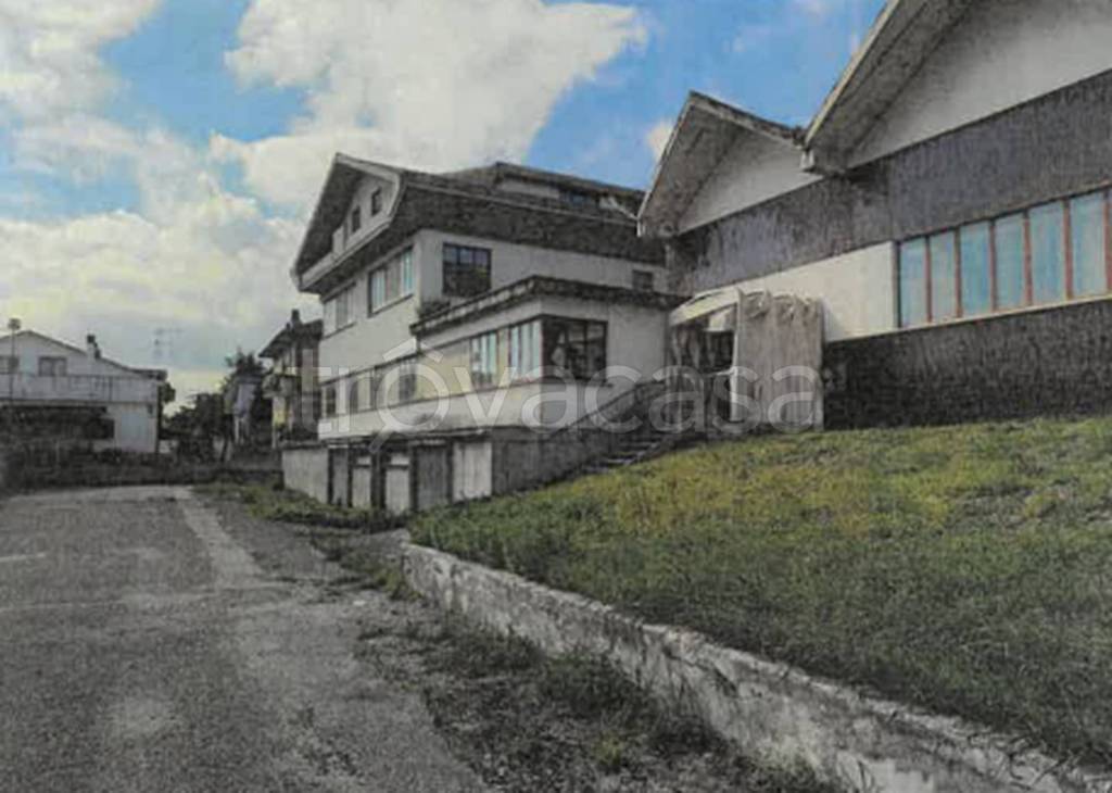 immagine annuncio 2 di 13