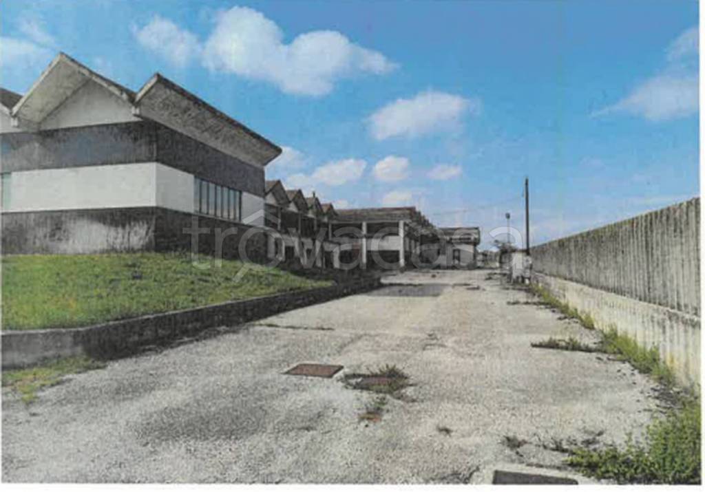 immagine annuncio 4 di 13