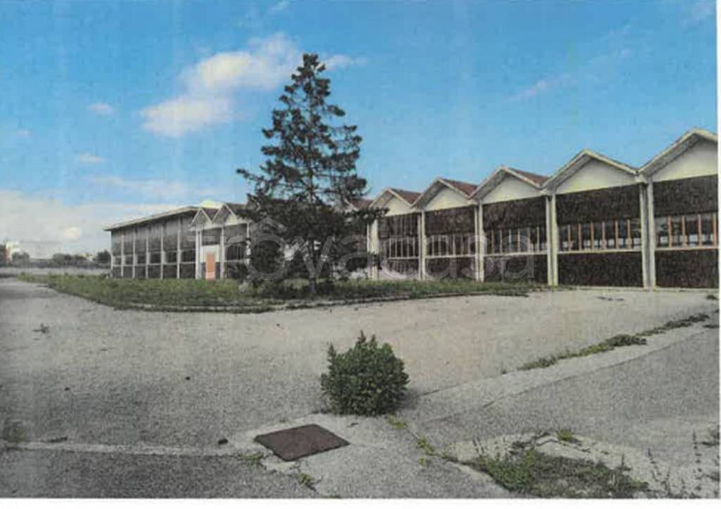 immagine annuncio 6 di 13