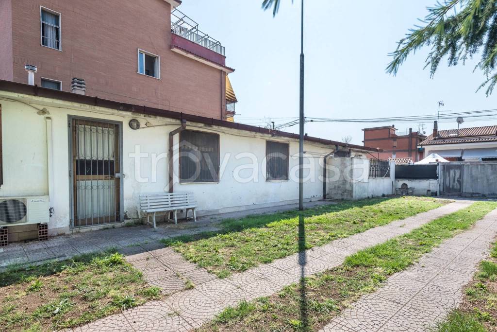 immagine annuncio 5 di 15