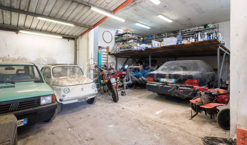 immagine annuncio 14 di 15