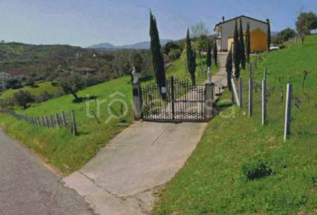 immagine annuncio 12 di 13