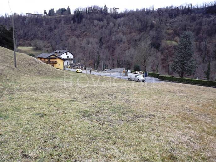 immagine annuncio 2 di 7