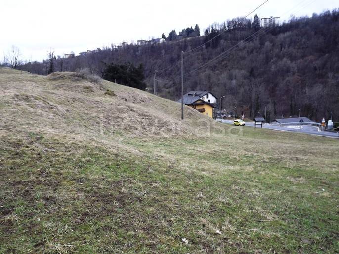 immagine annuncio 3 di 7