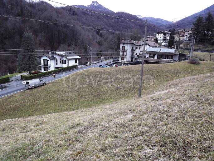 immagine annuncio 5 di 7