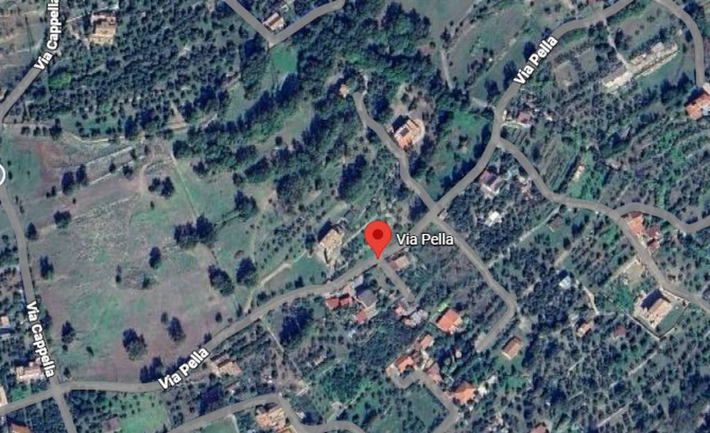 immagine annuncio 11 di 12