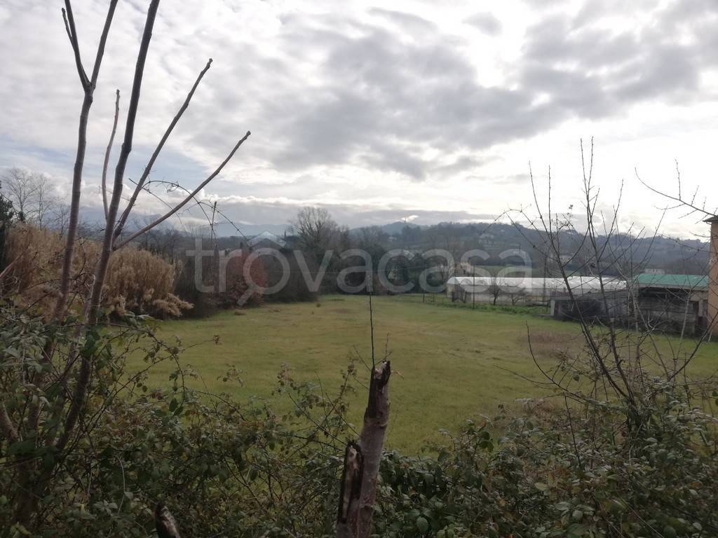 immagine annuncio 2 di 7