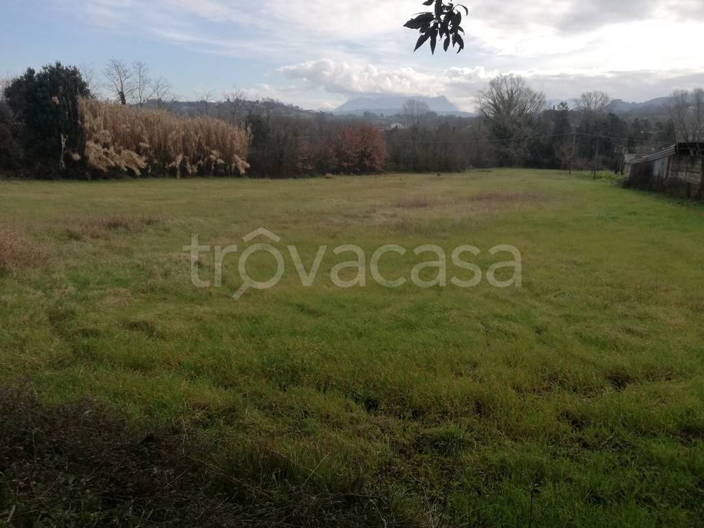 immagine annuncio 3 di 7