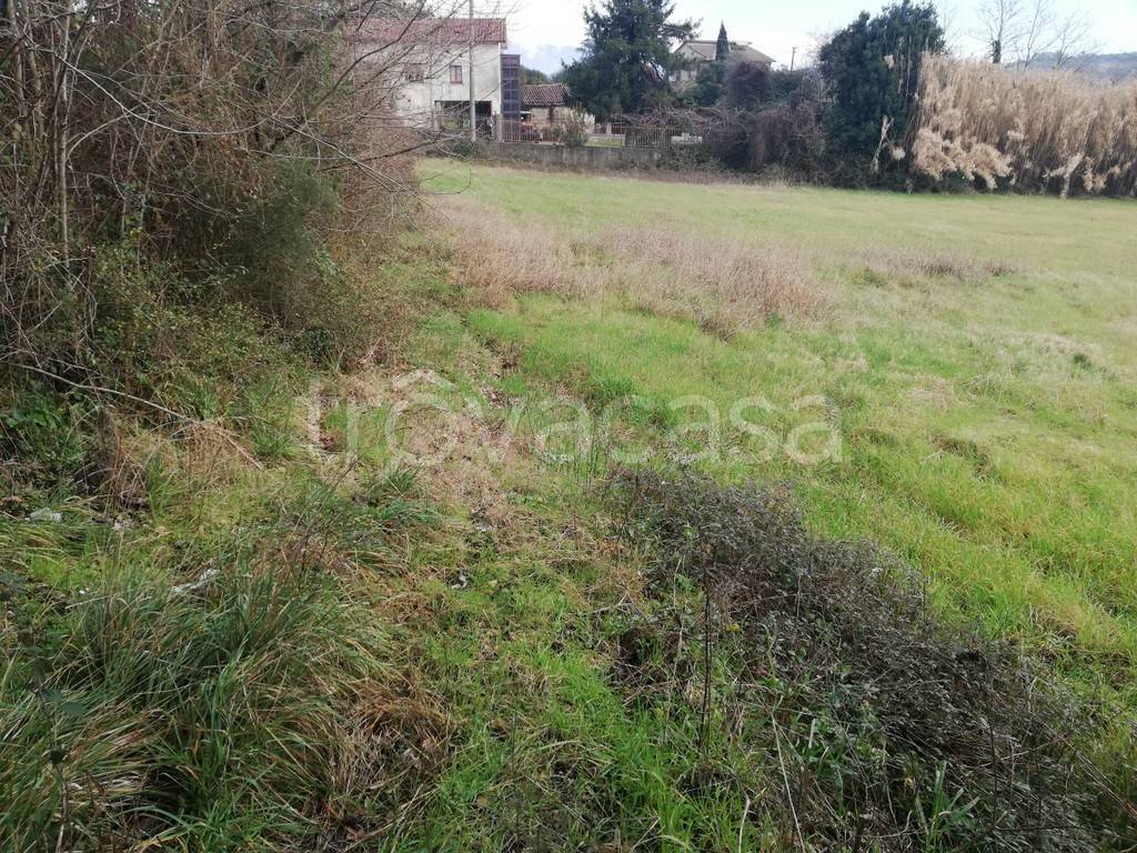 immagine annuncio 4 di 7