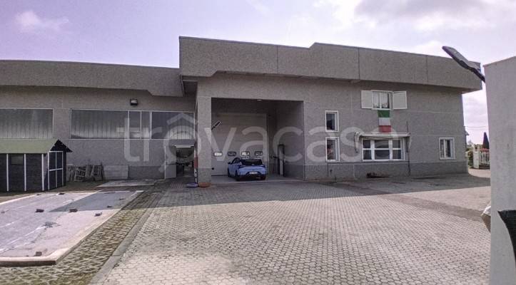 immagine annuncio 1 di 9