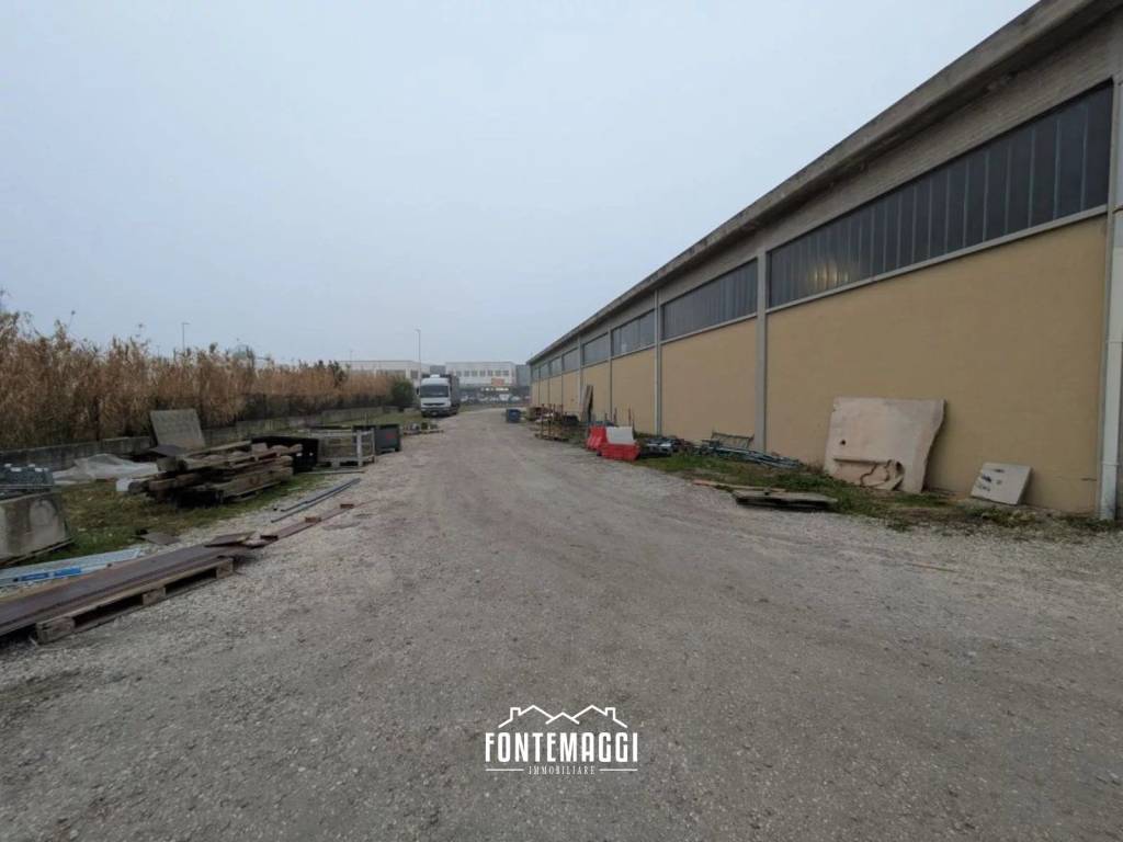 immagine annuncio 11 di 15