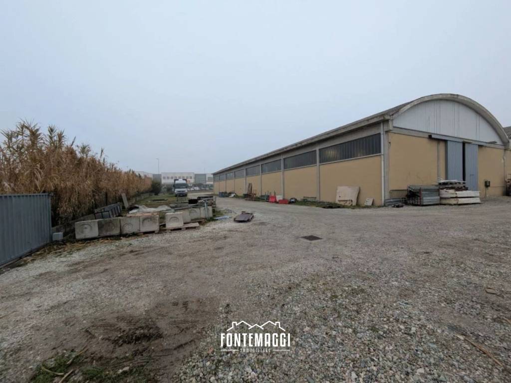 immagine annuncio 12 di 15