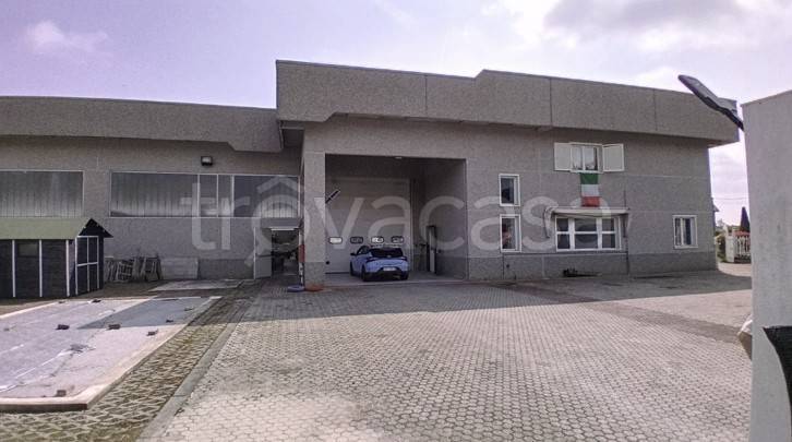 immagine annuncio 1 di 9