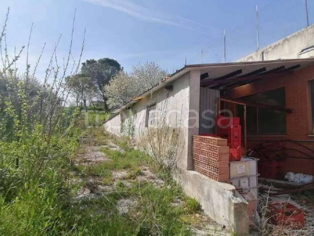 immagine annuncio 3 di 12