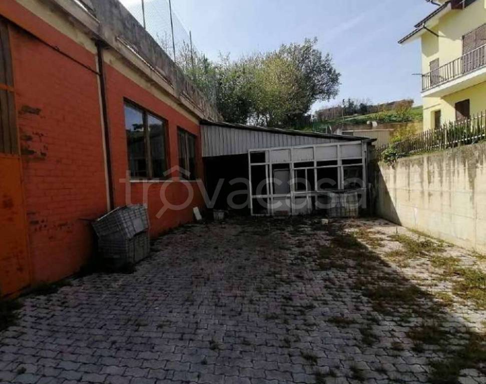 immagine annuncio 4 di 12