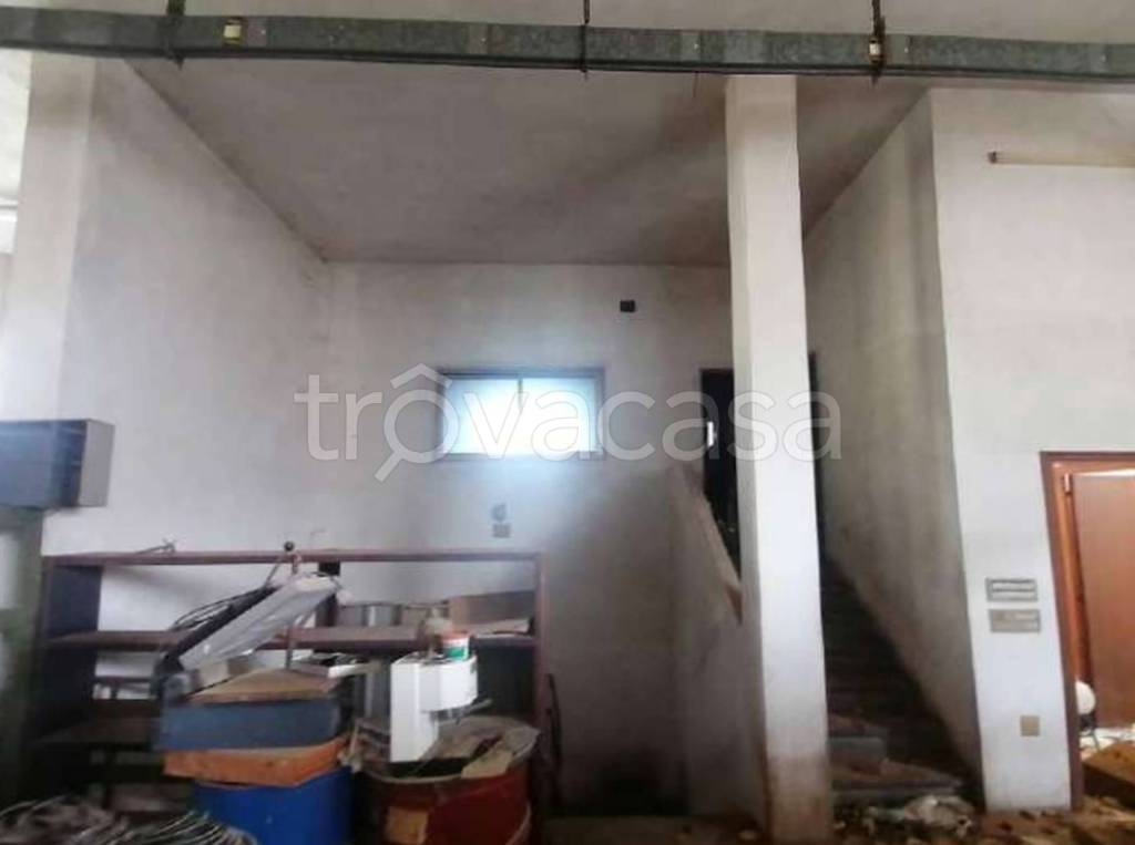 immagine annuncio 9 di 12