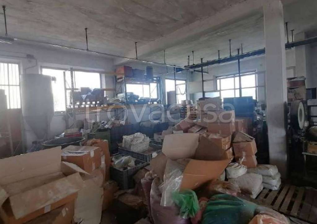 immagine annuncio 10 di 12