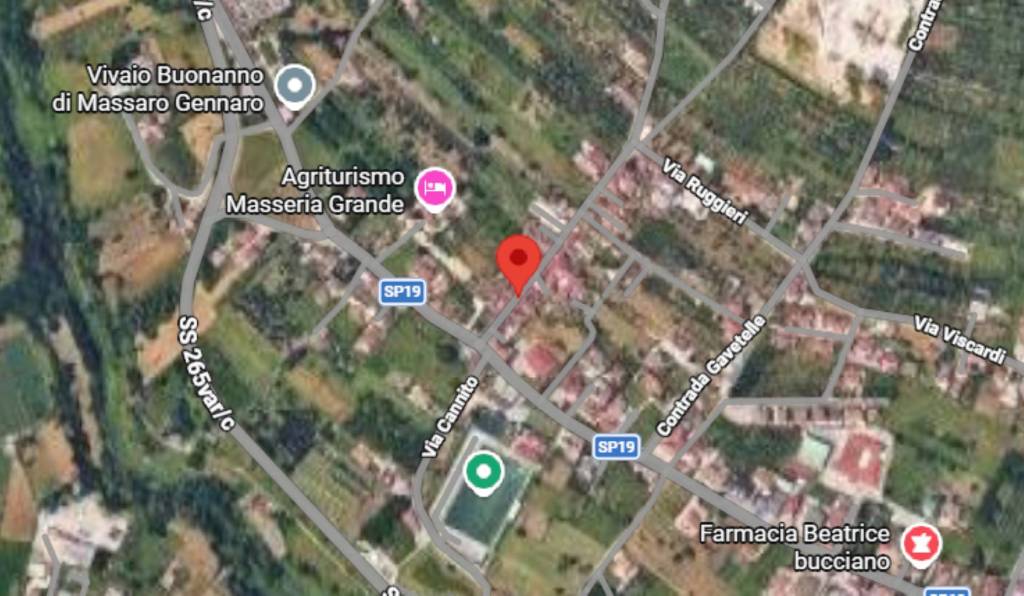 immagine annuncio 3 di 12