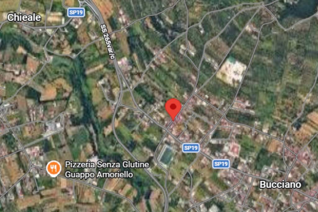 immagine annuncio 4 di 12