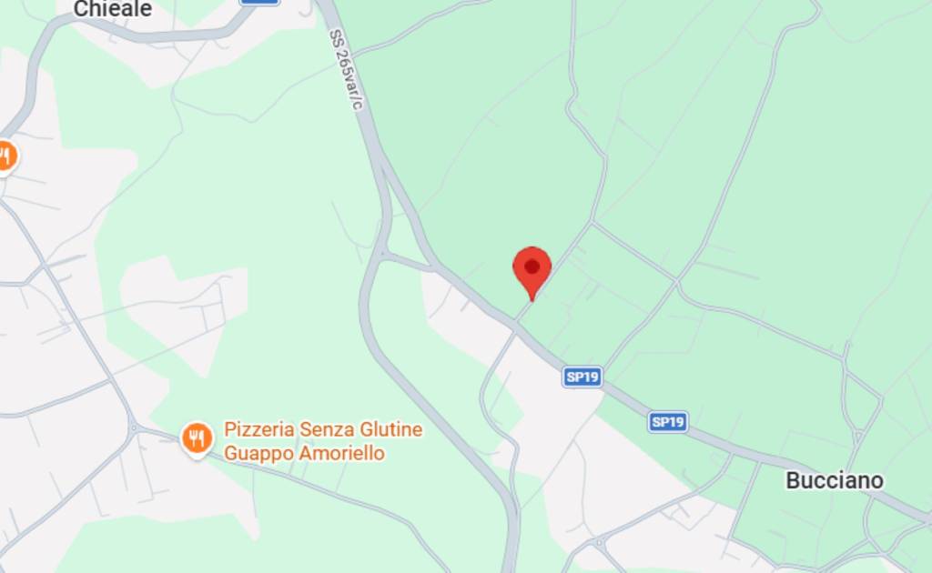 immagine annuncio 5 di 12