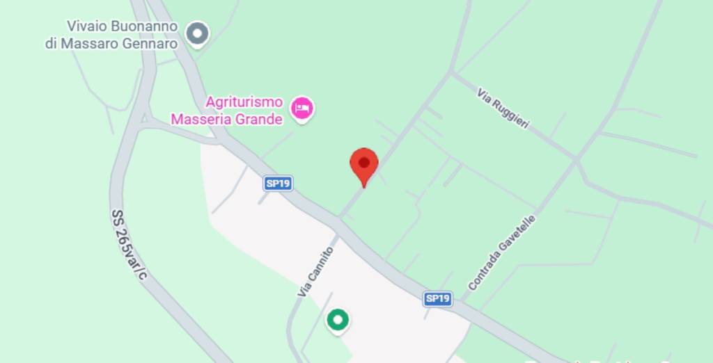 immagine annuncio 6 di 12