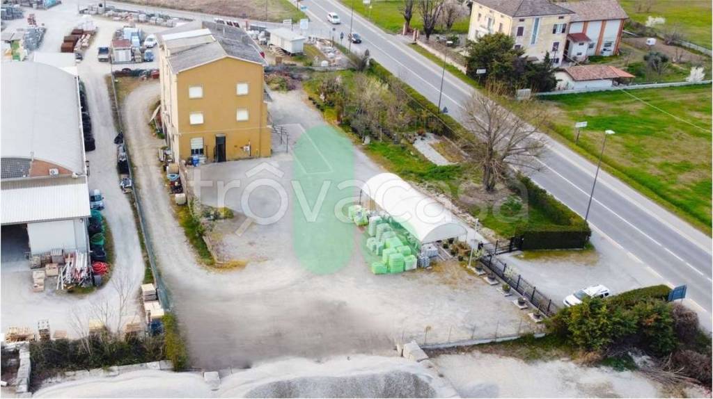 immagine annuncio 9 di 14