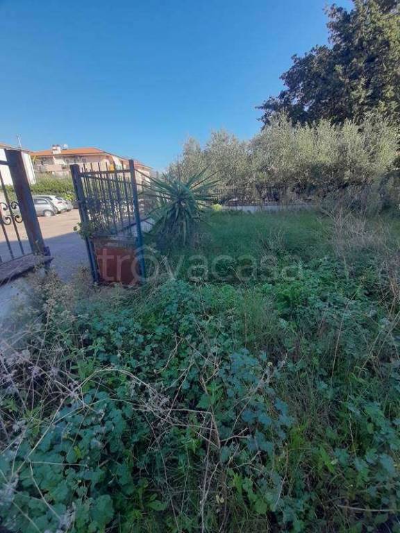 immagine annuncio 2 di 7