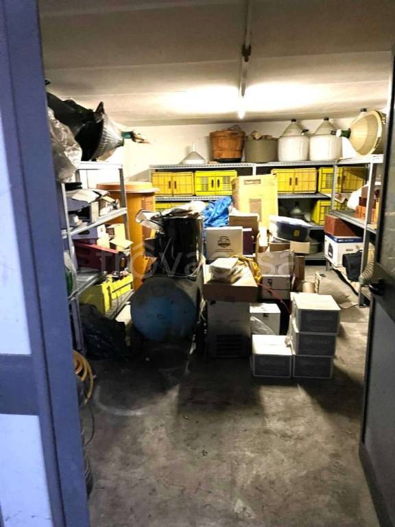 immagine annuncio 11 di 15