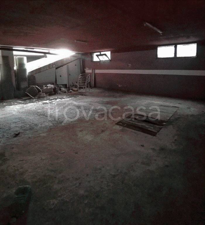 immagine annuncio 2 di 12