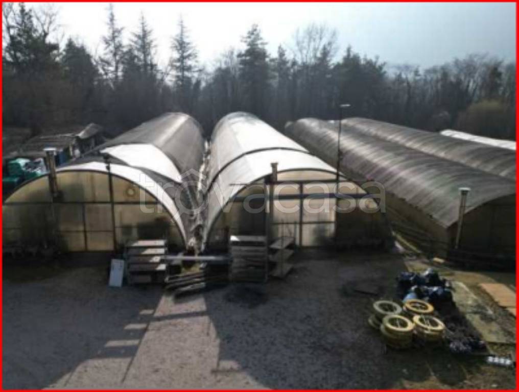 immagine annuncio 2 di 12