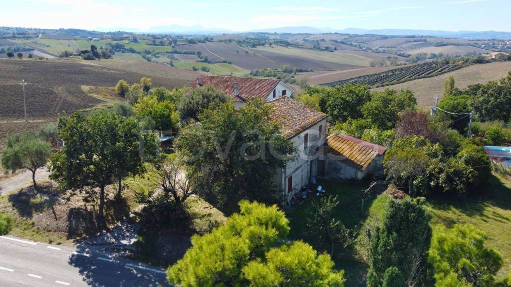 immagine annuncio 6 di 12