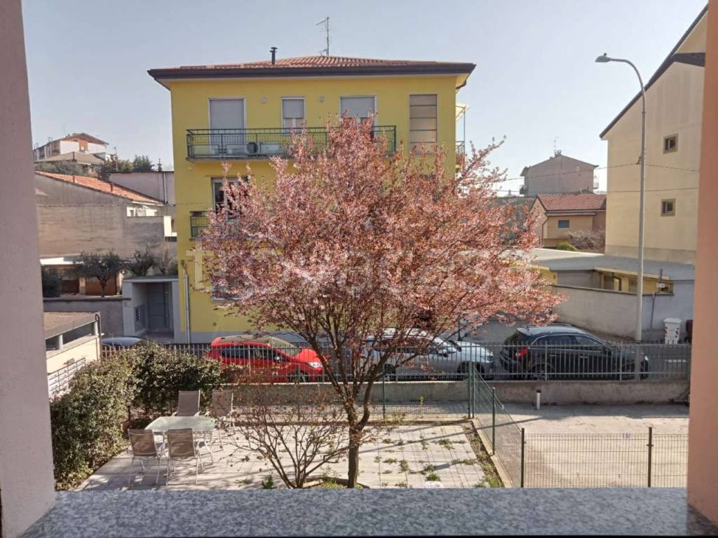 immagine annuncio 11 di 13