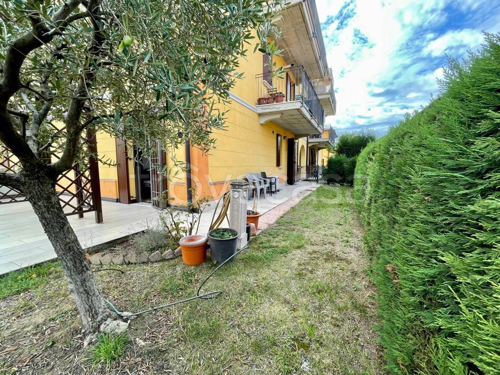 immagine annuncio 1 di 13