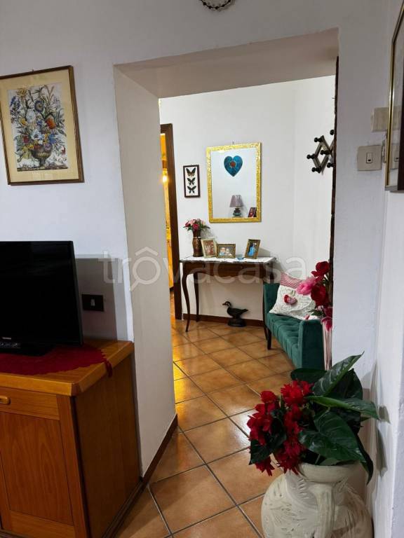 immagine annuncio 6 di 13