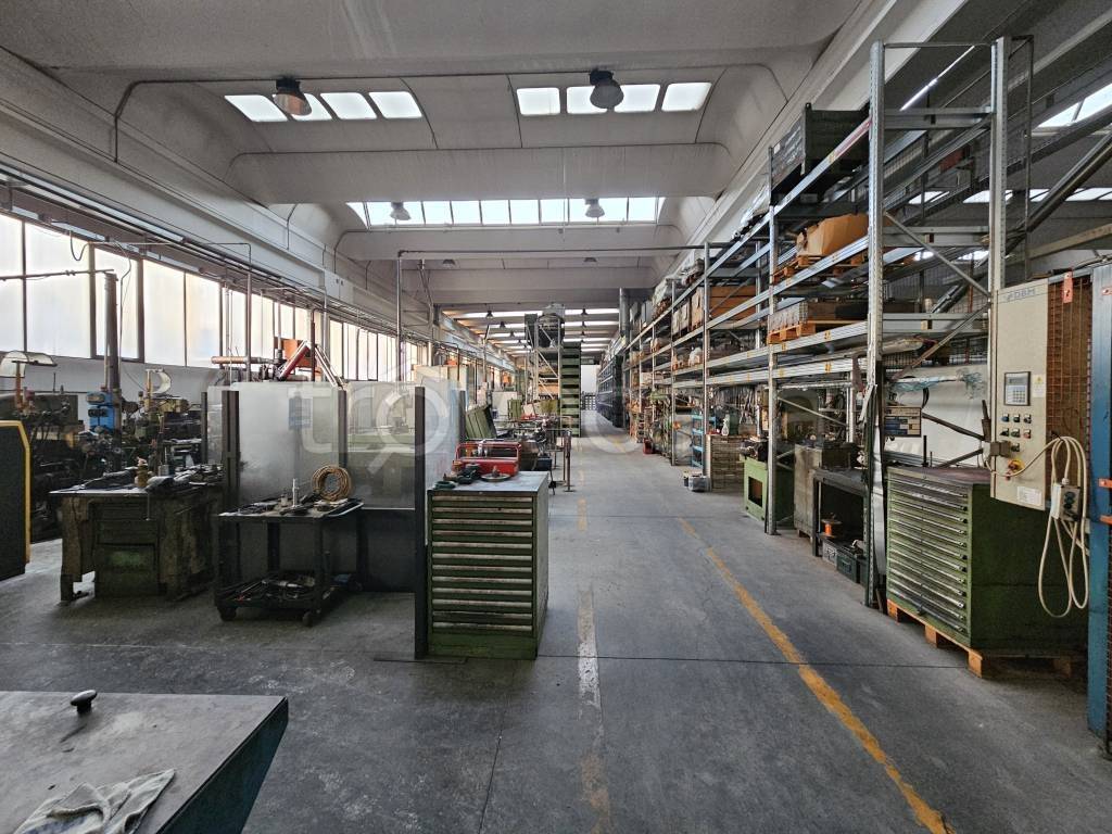 immagine annuncio 5 di 15