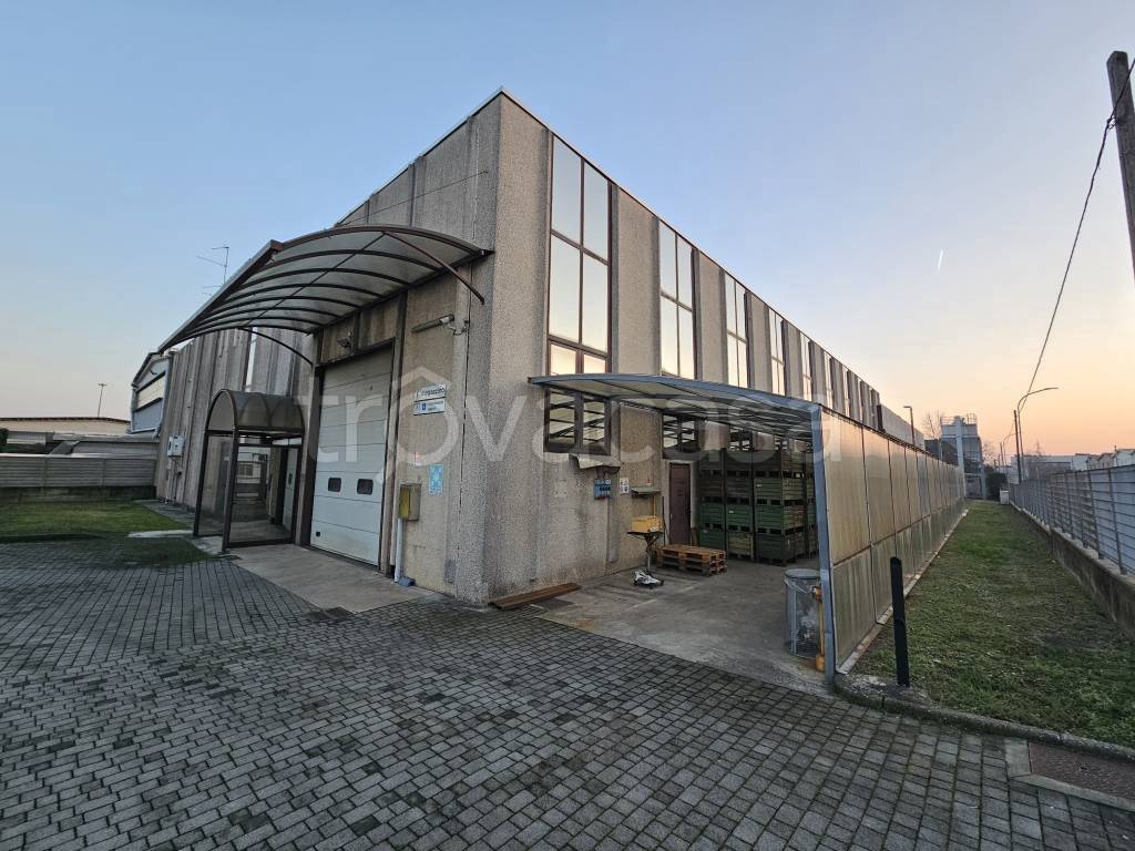 immagine annuncio 8 di 15