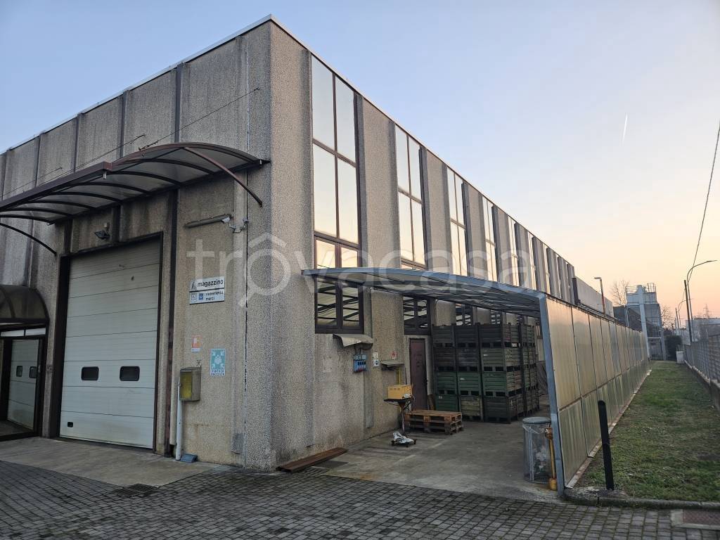 immagine annuncio 9 di 15