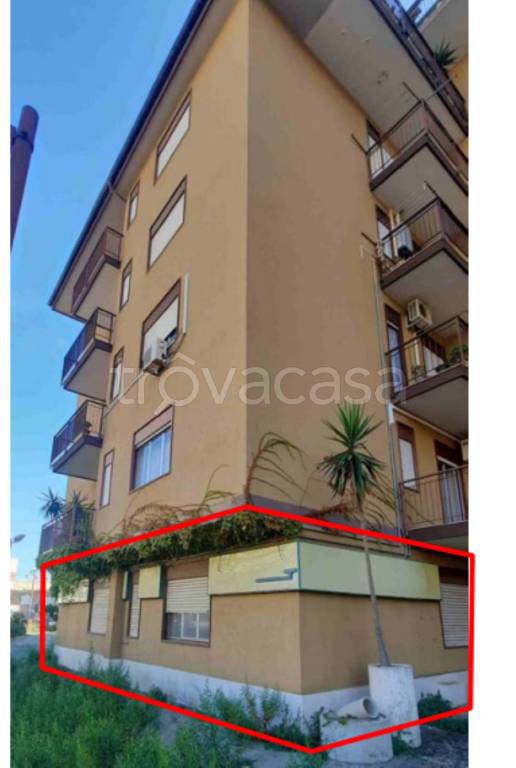 immagine annuncio 2 di 12