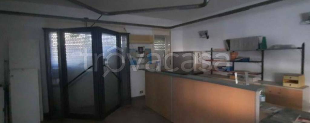 immagine annuncio 7 di 12