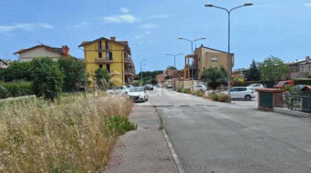 immagine annuncio 2 di 11