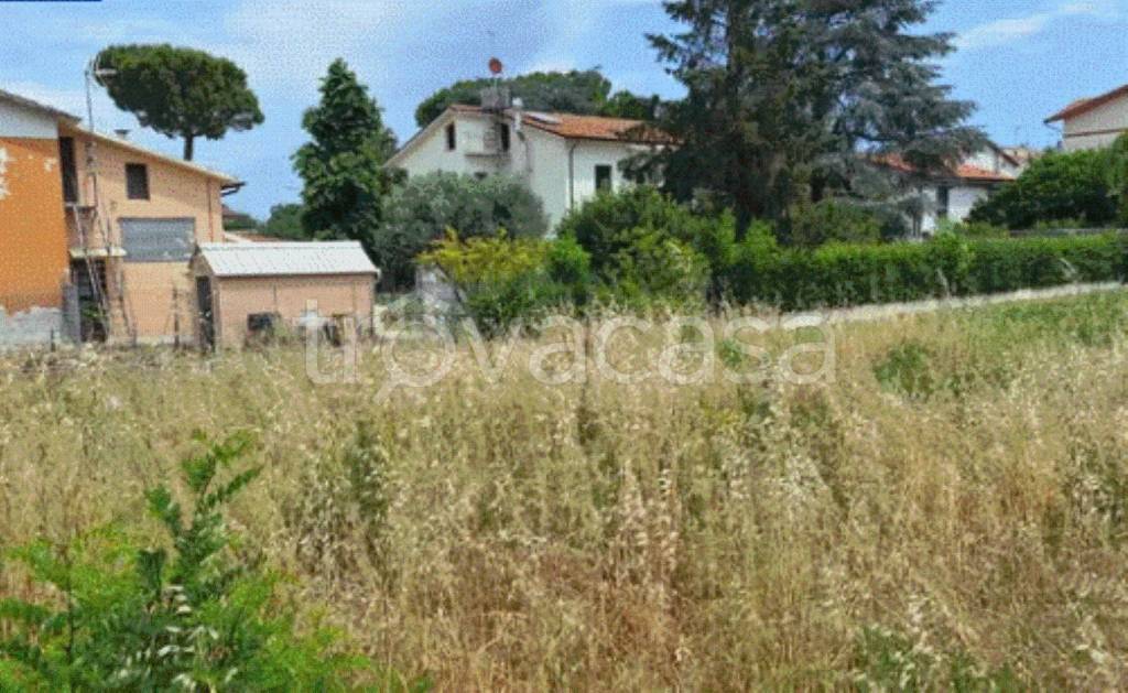 immagine annuncio 4 di 11