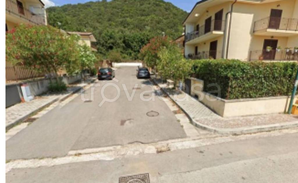 immagine annuncio 3 di 12