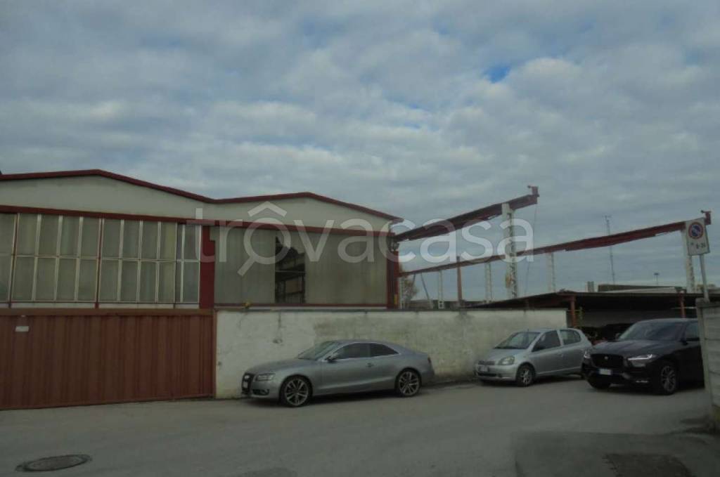 immagine annuncio 9 di 15