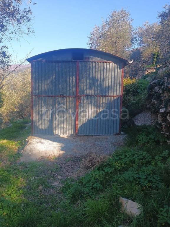 immagine annuncio 9 di 11