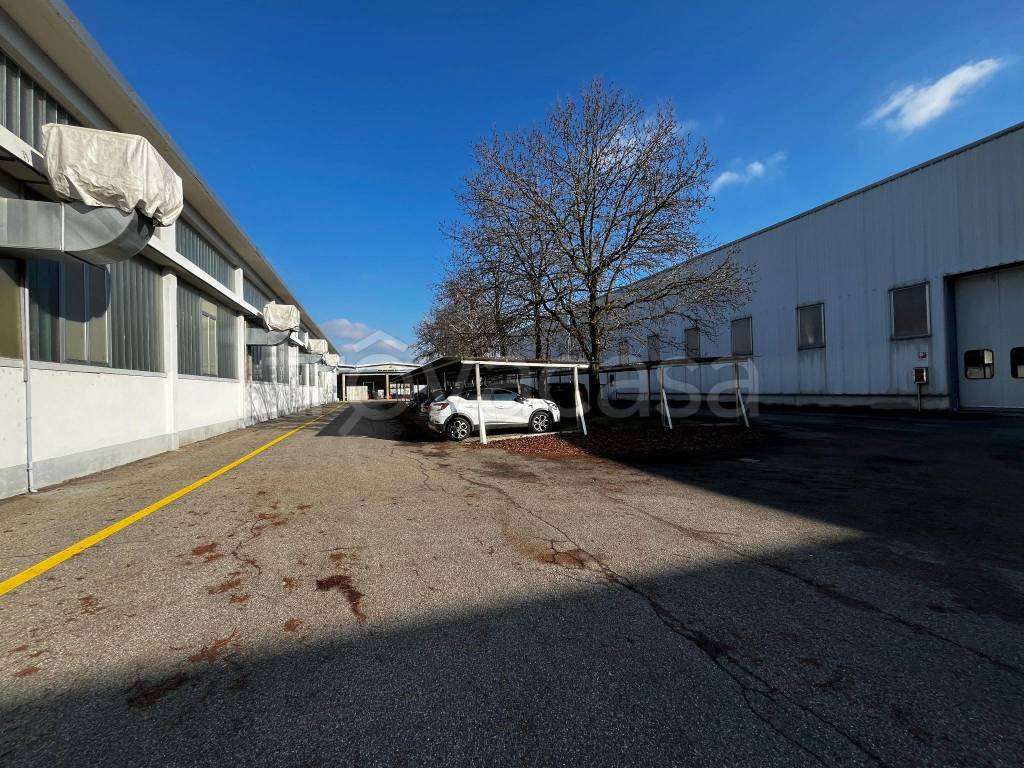 immagine annuncio 3 di 15