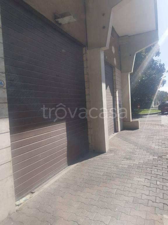 immagine annuncio 2 di 8