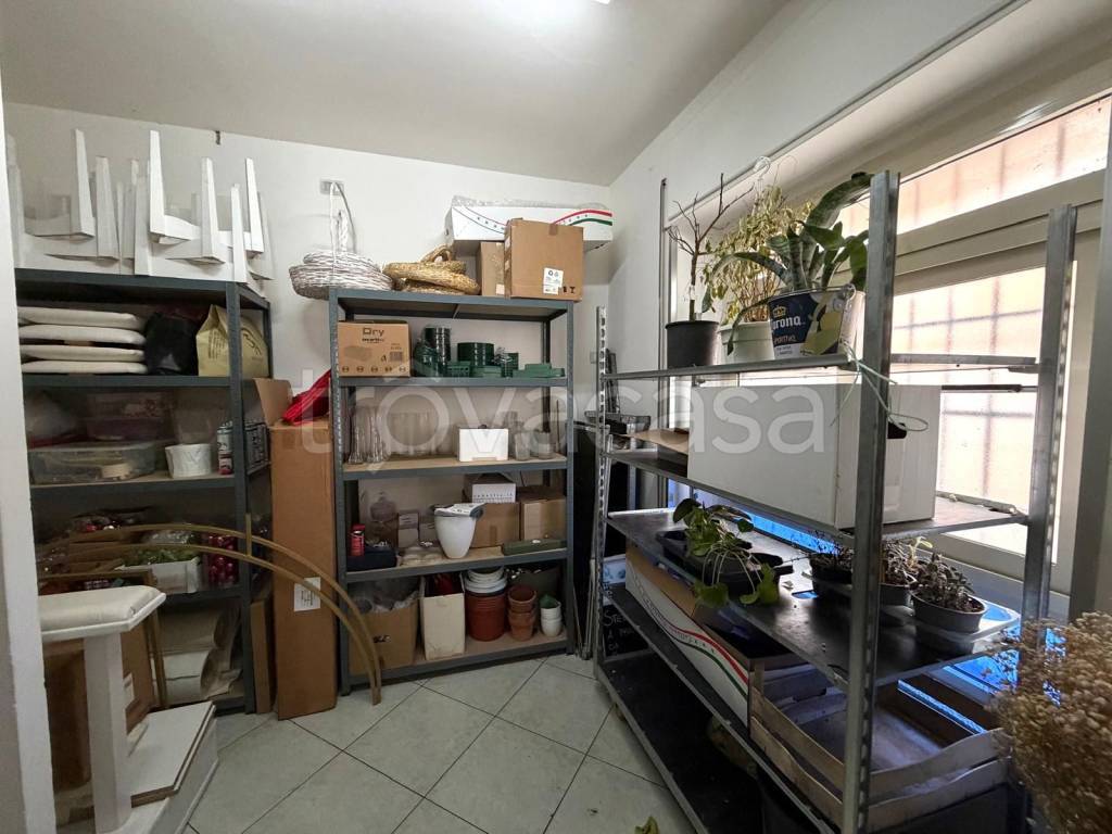 immagine annuncio 9 di 12