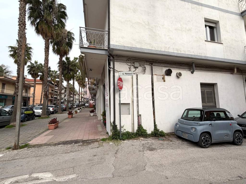 immagine annuncio 3 di 12